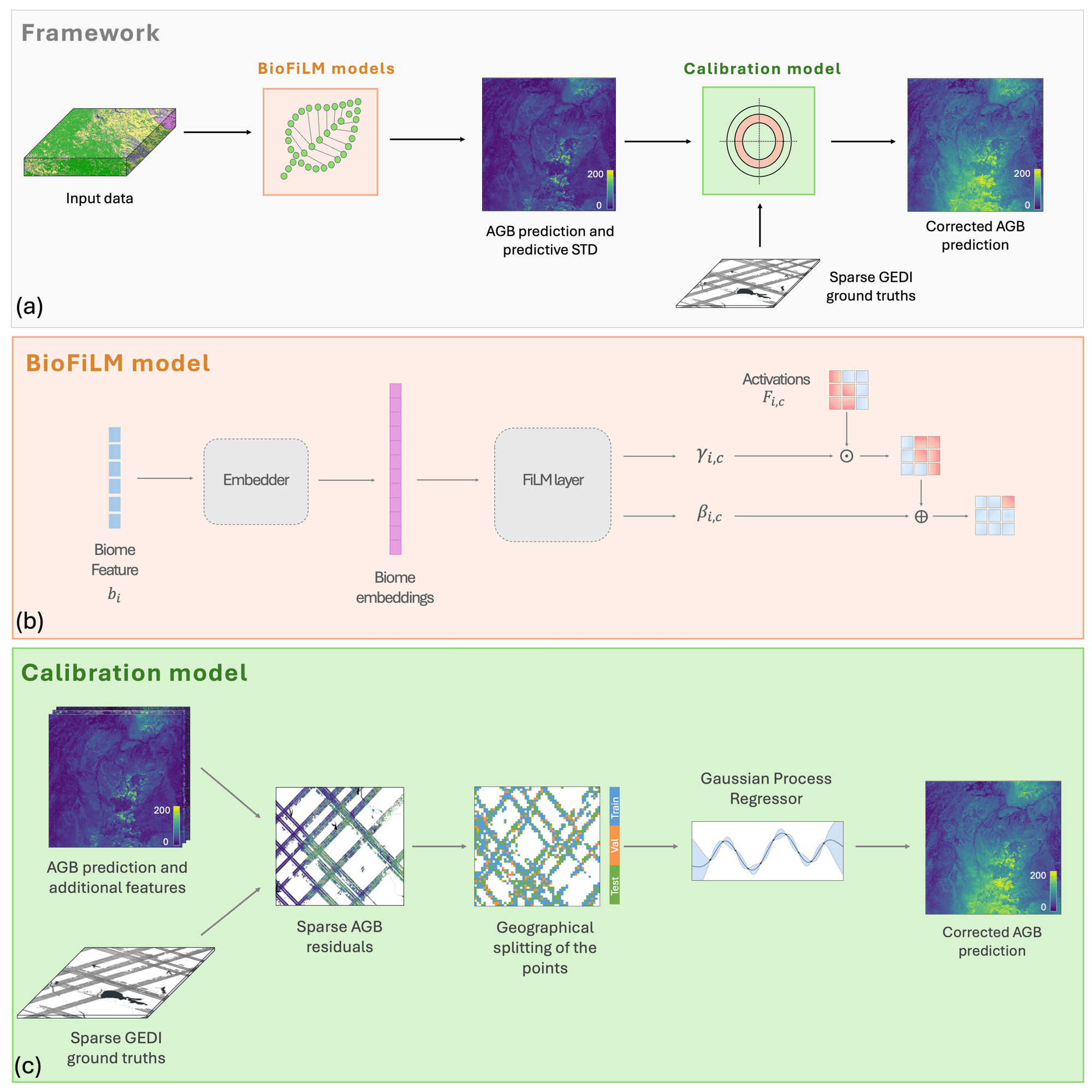 Framework overview: BioFiLM produces a dense AGB prediction and its ensemble STD, which a Gaussian Process calibration model corrects using sparse GEDI footprints